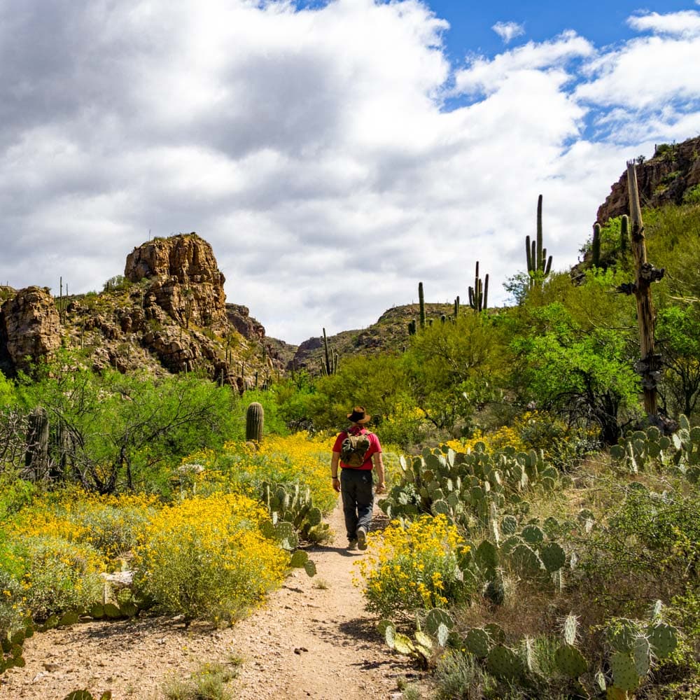 La Milagrosa Canyon — Southern Arizona, Arizona, United States, North America