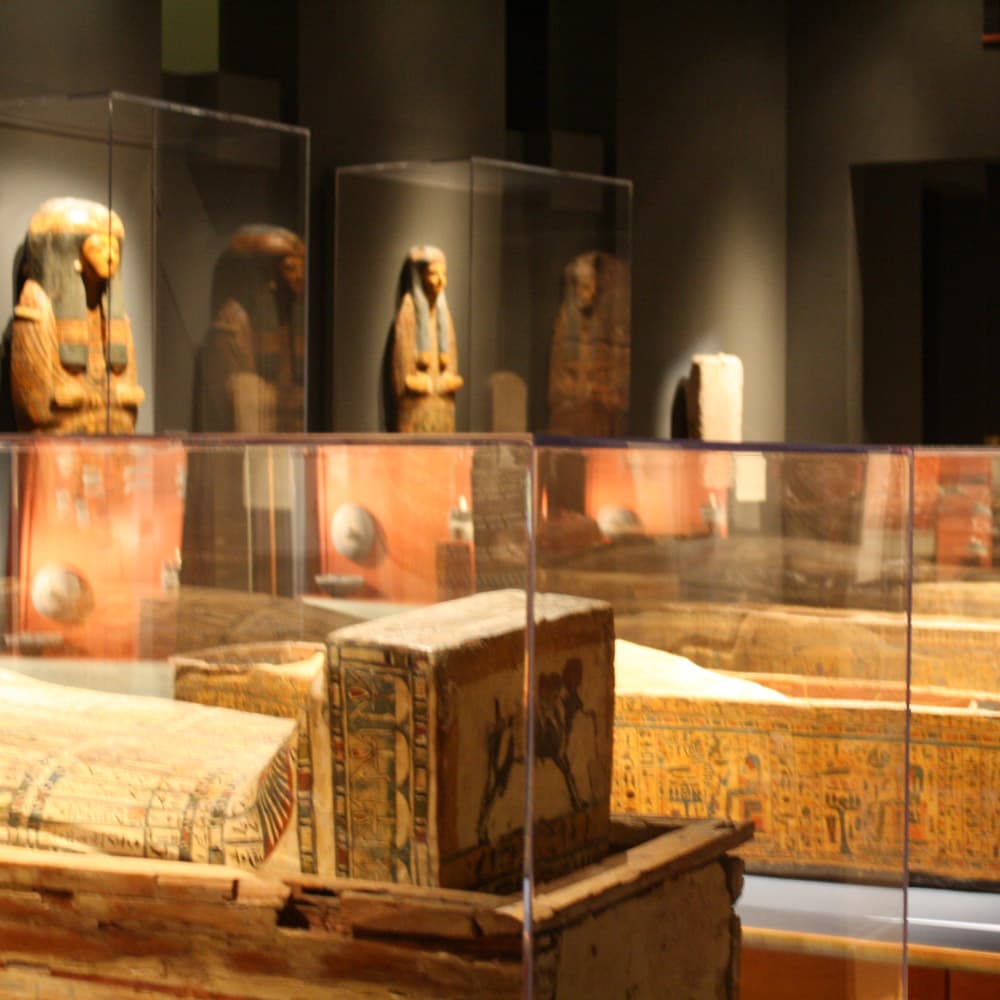 Michael C Carlos Museum — 