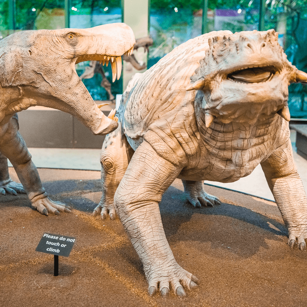 Mississippi Museum of Natural Science — 