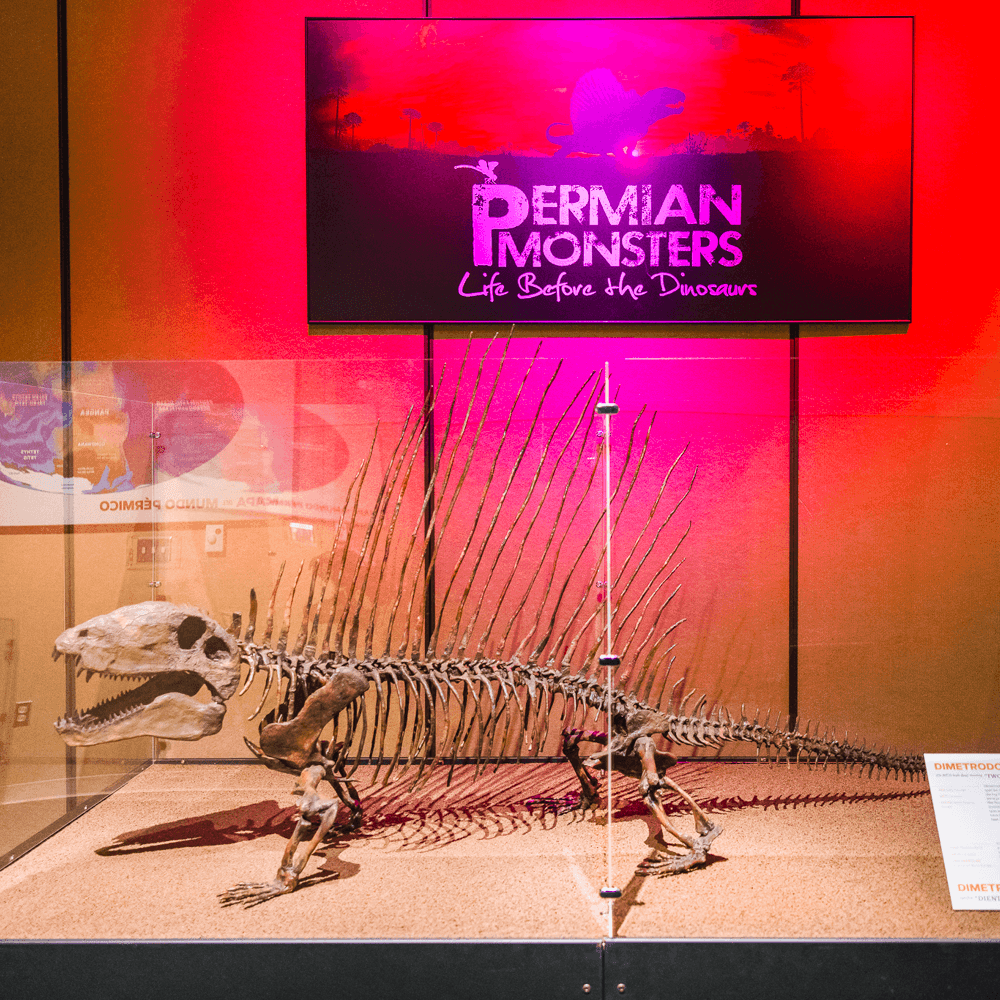 Mississippi Museum of Natural Science — 