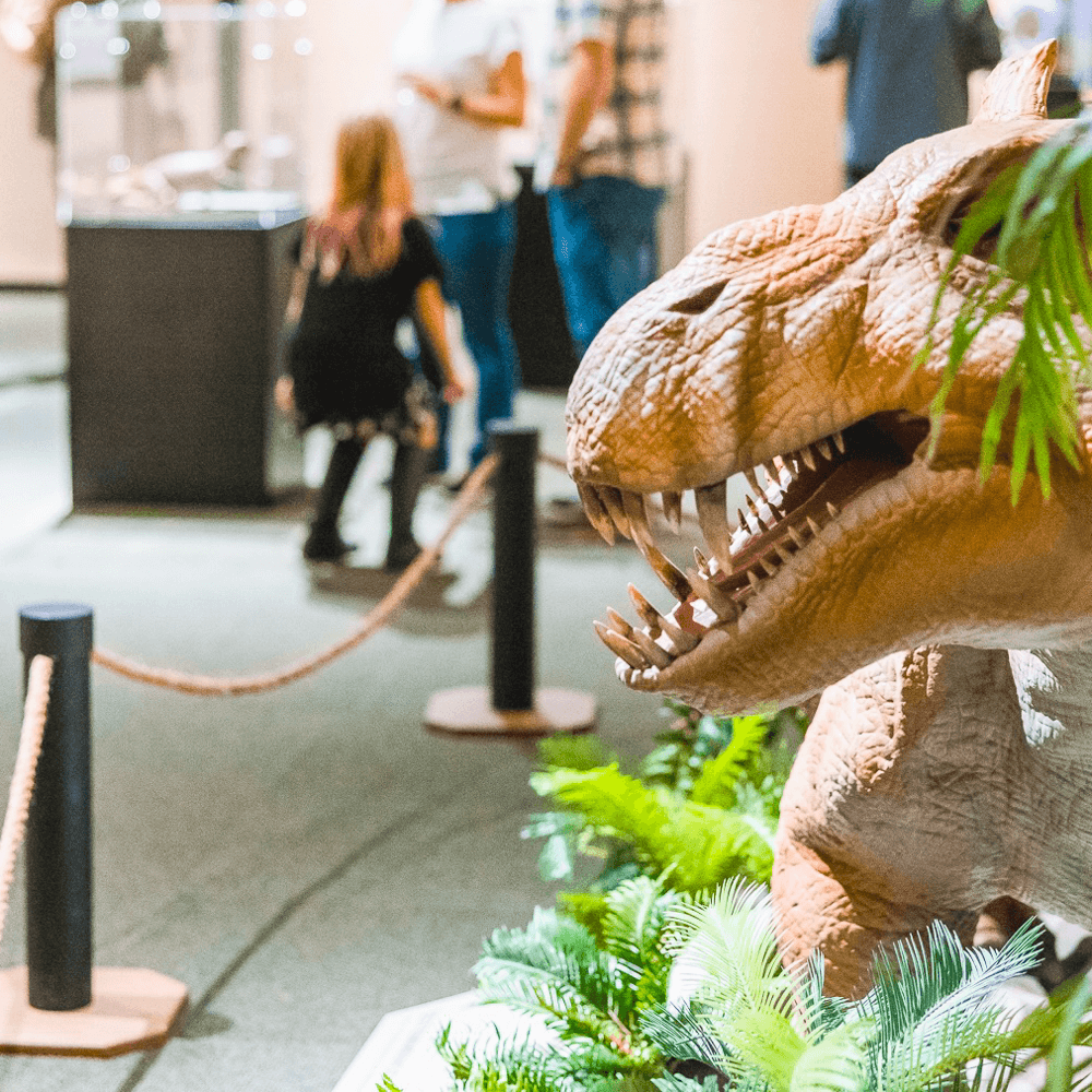 Mississippi Museum of Natural Science — Jackson, Mississippi, United States, North America