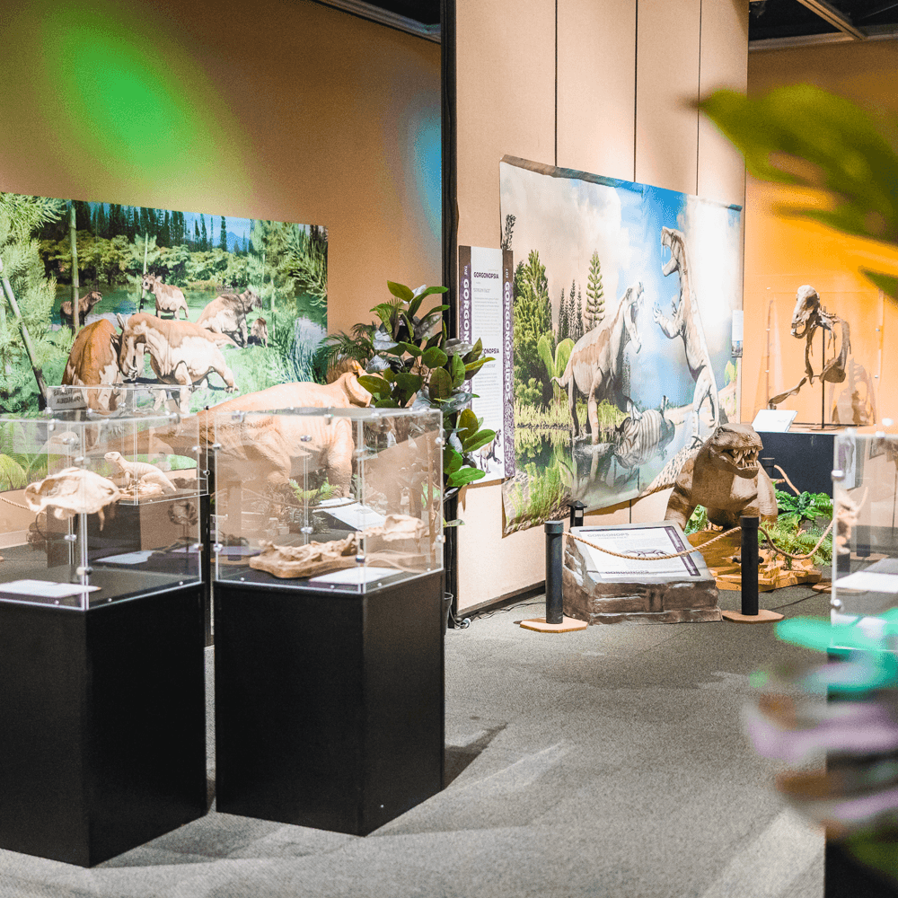 Mississippi Museum of Natural Science — 