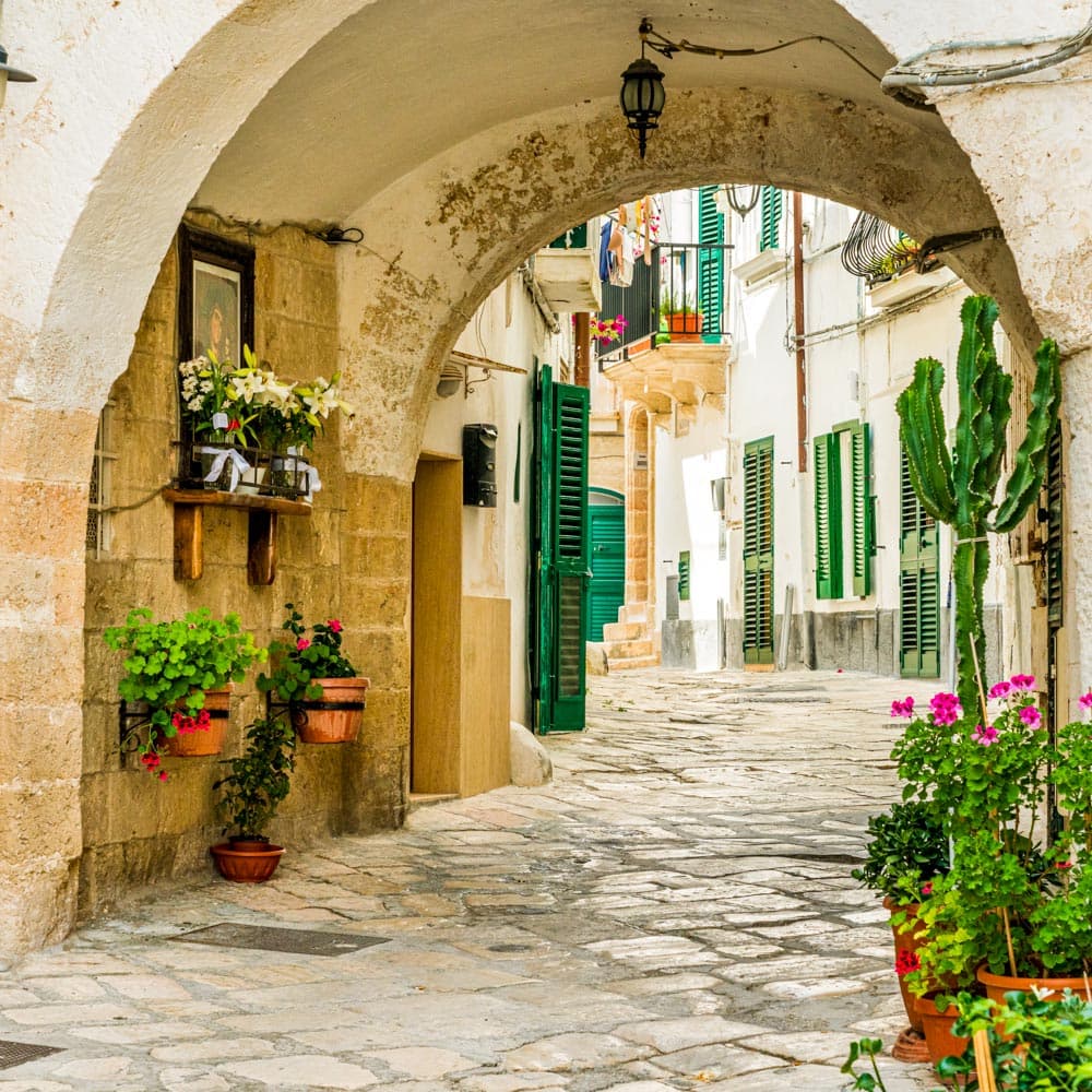 Monopoli — 