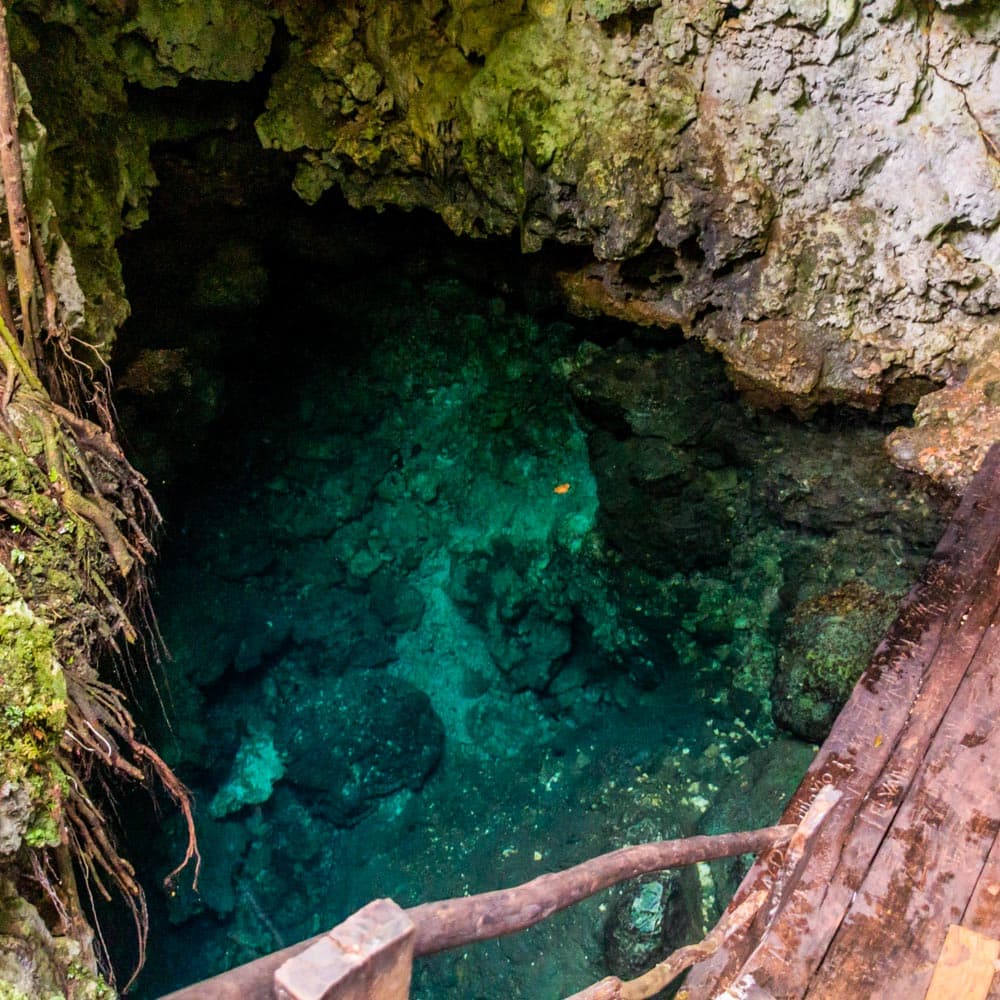 El Choco National Park — 