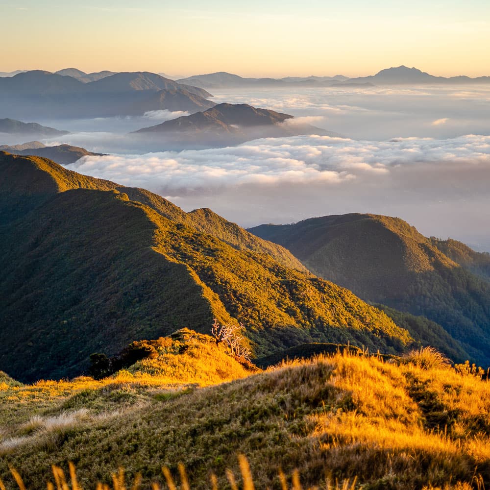 Mount Pulag — 