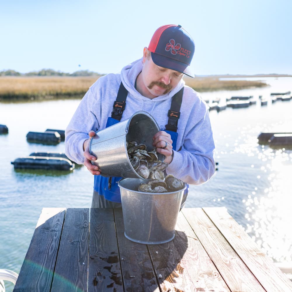 NC Oyster Trail — 