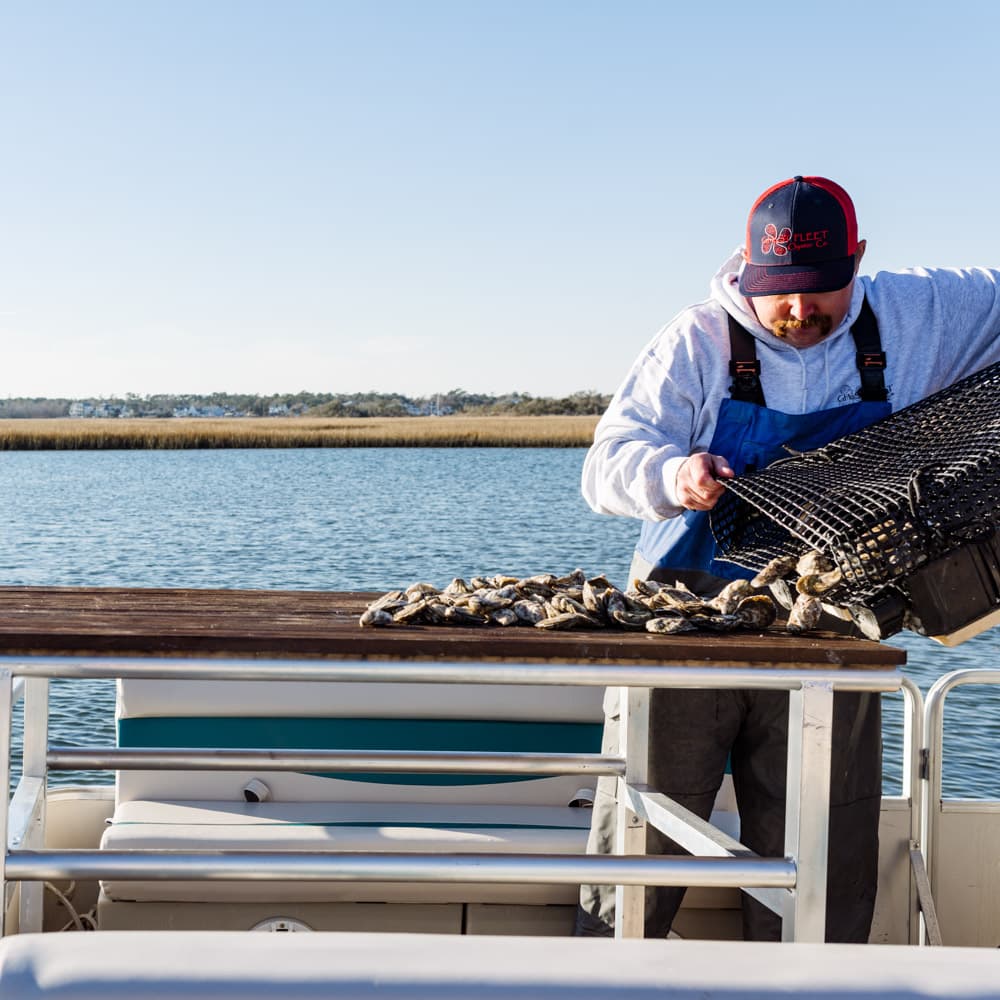 NC Oyster Trail — 