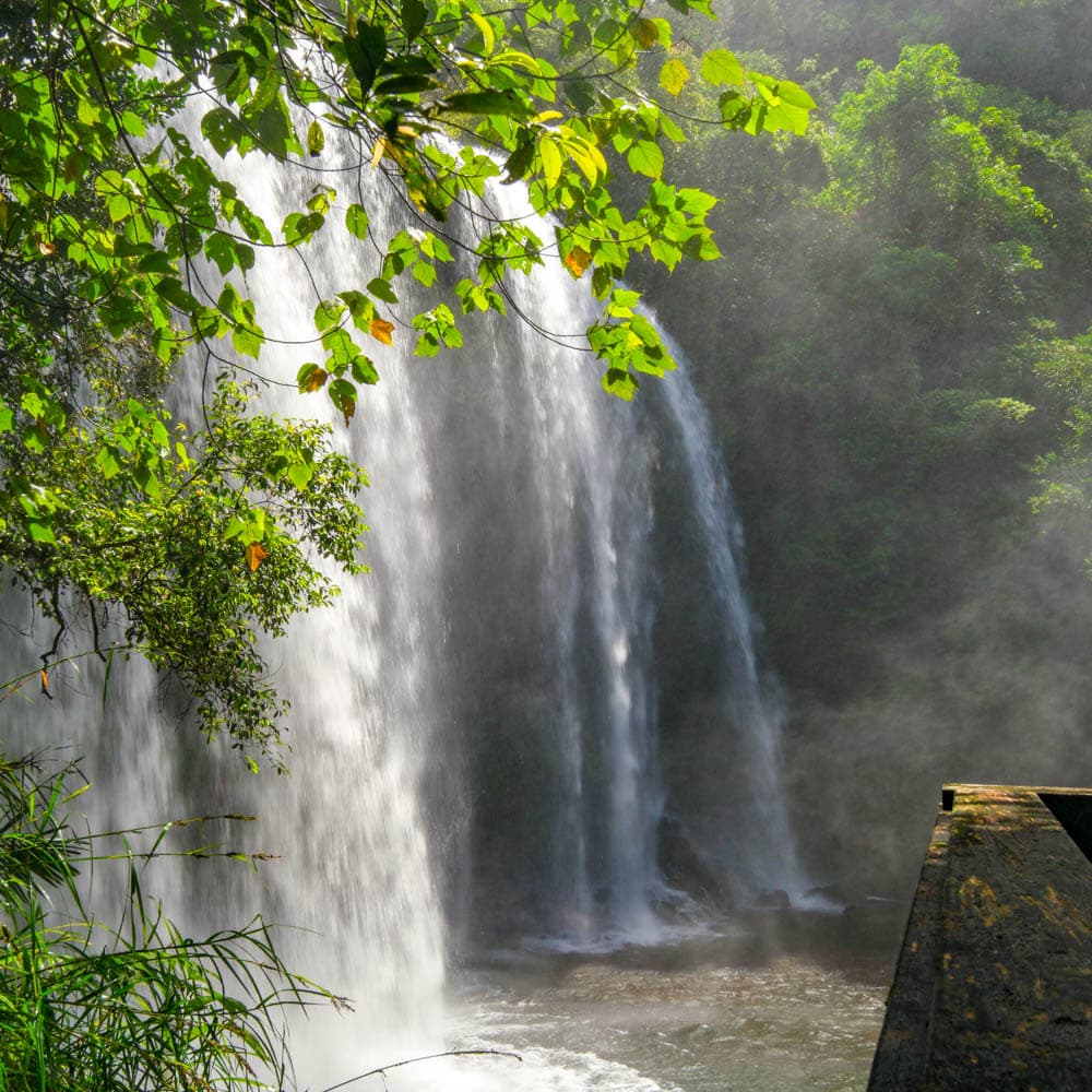 Ngardmau Waterfall — 