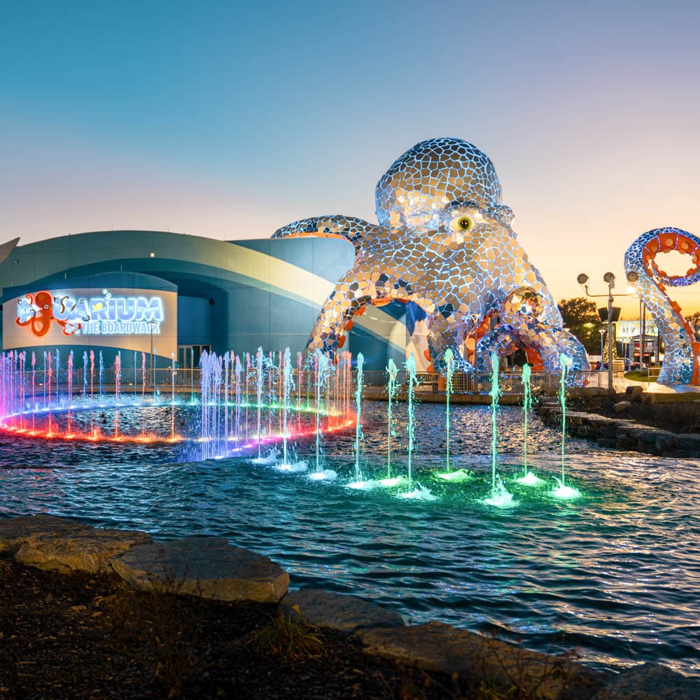 Branson Strip and Theatre District — 