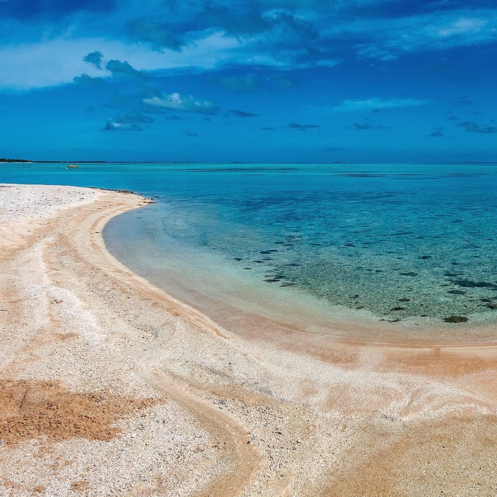 Tikehau — 