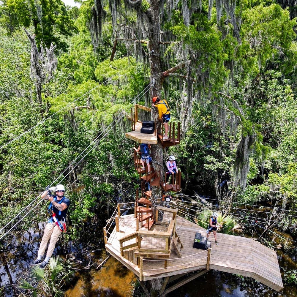 Zip NOLA — 