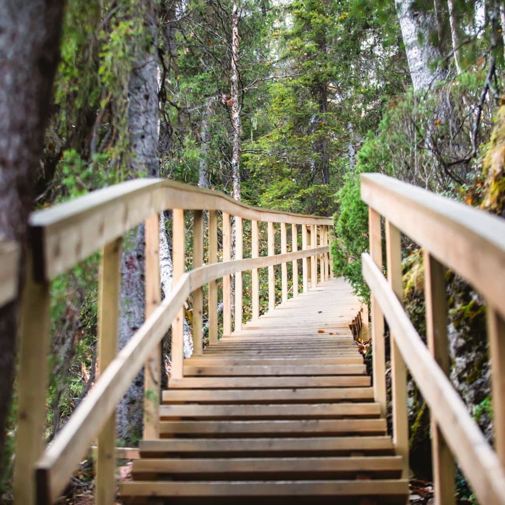 Oulanka National Park — 