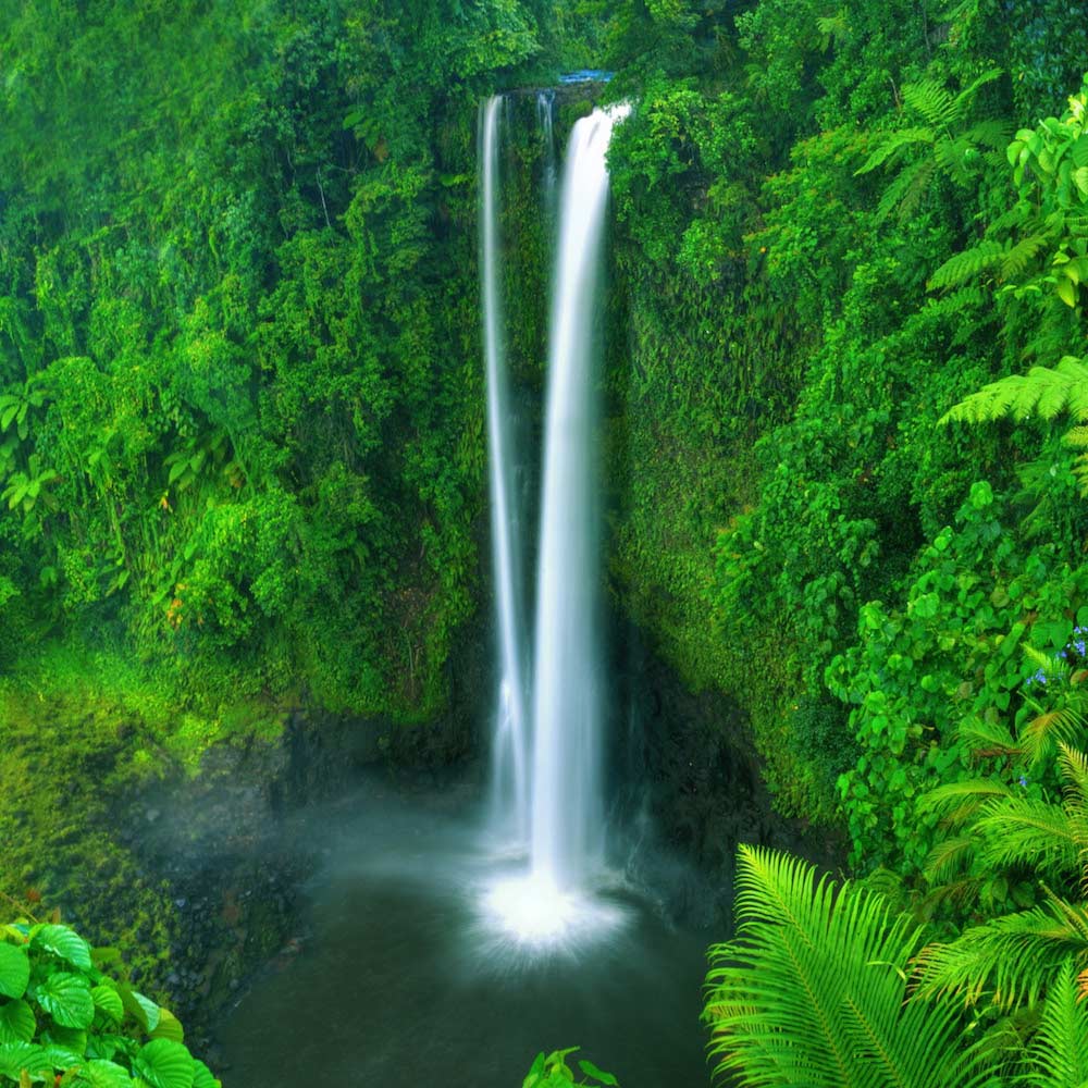 Fuipisia Waterfall — Samoa, Oceania