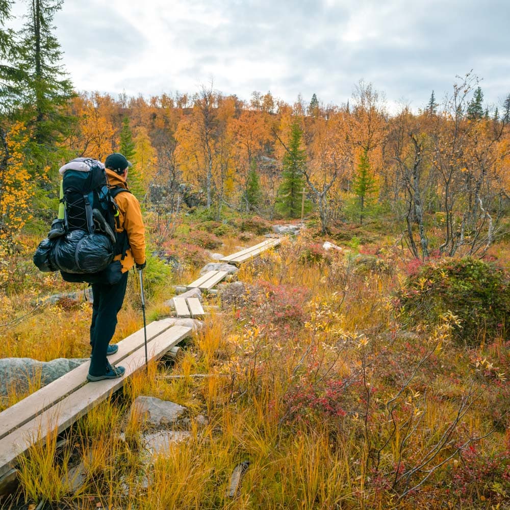 Pallas Yllastunturi National Park — Finland, Scandinavia