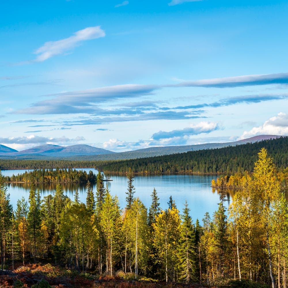 Pallas Yllastunturi National Park — 