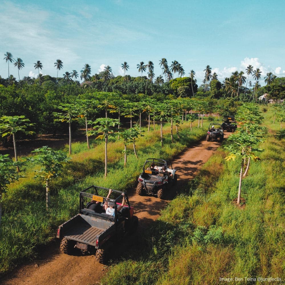 Raro Buggy Tours — 