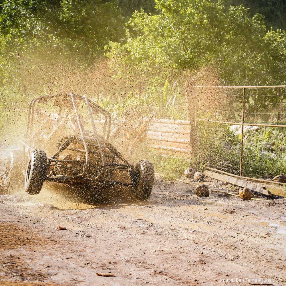 Raro Buggy Tours — 