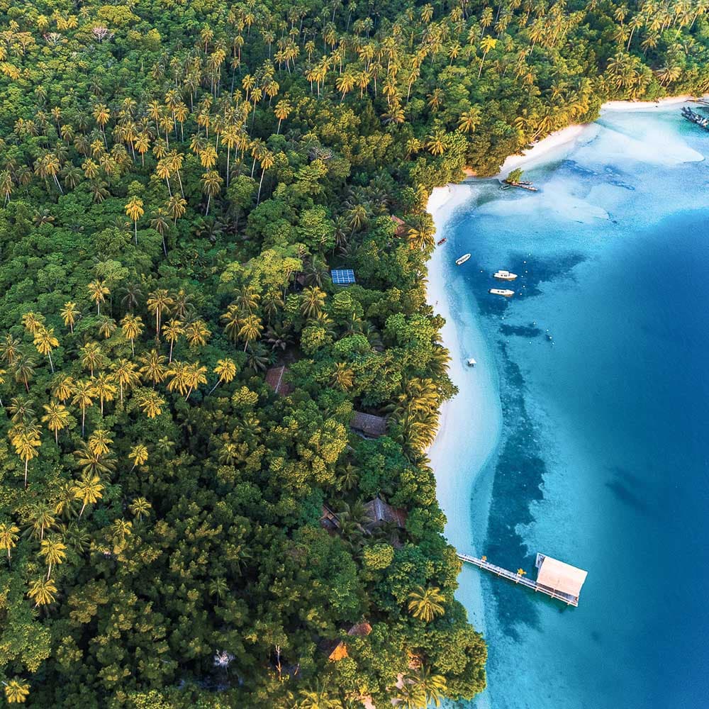 Papatura — 
