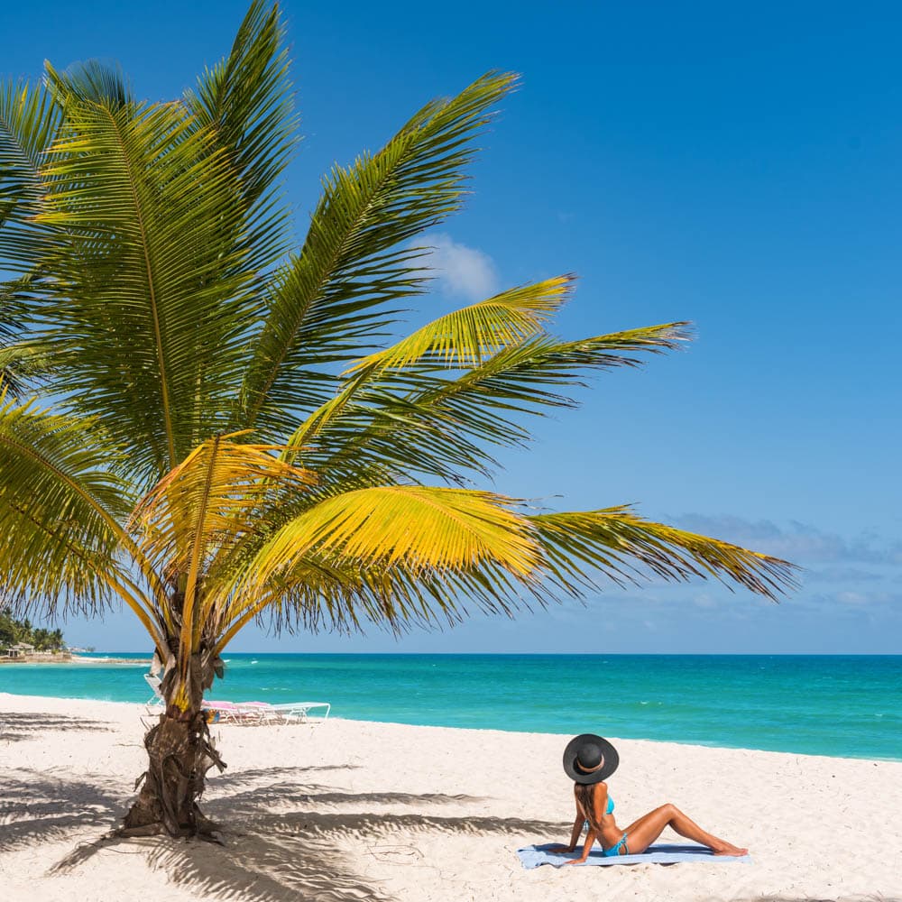 Dover Beach — 