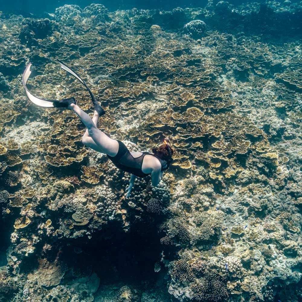 Pescador Island — 