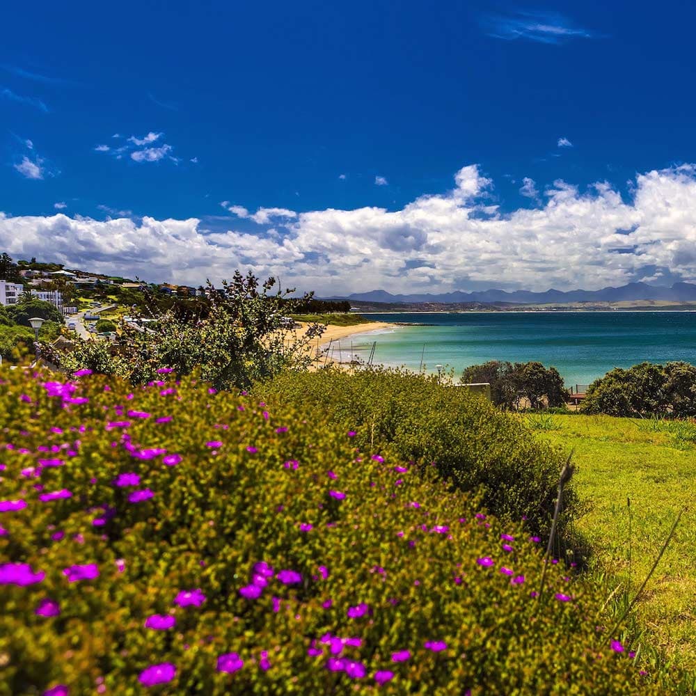 Mossell Bay — South Africa, Africa