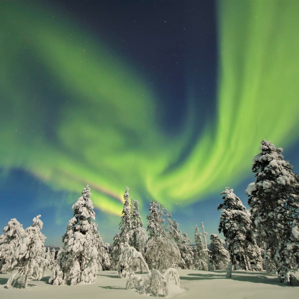 Pyha-Luosto National Park — 