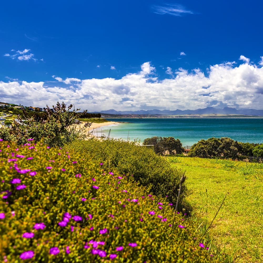 Mossell Bay — 