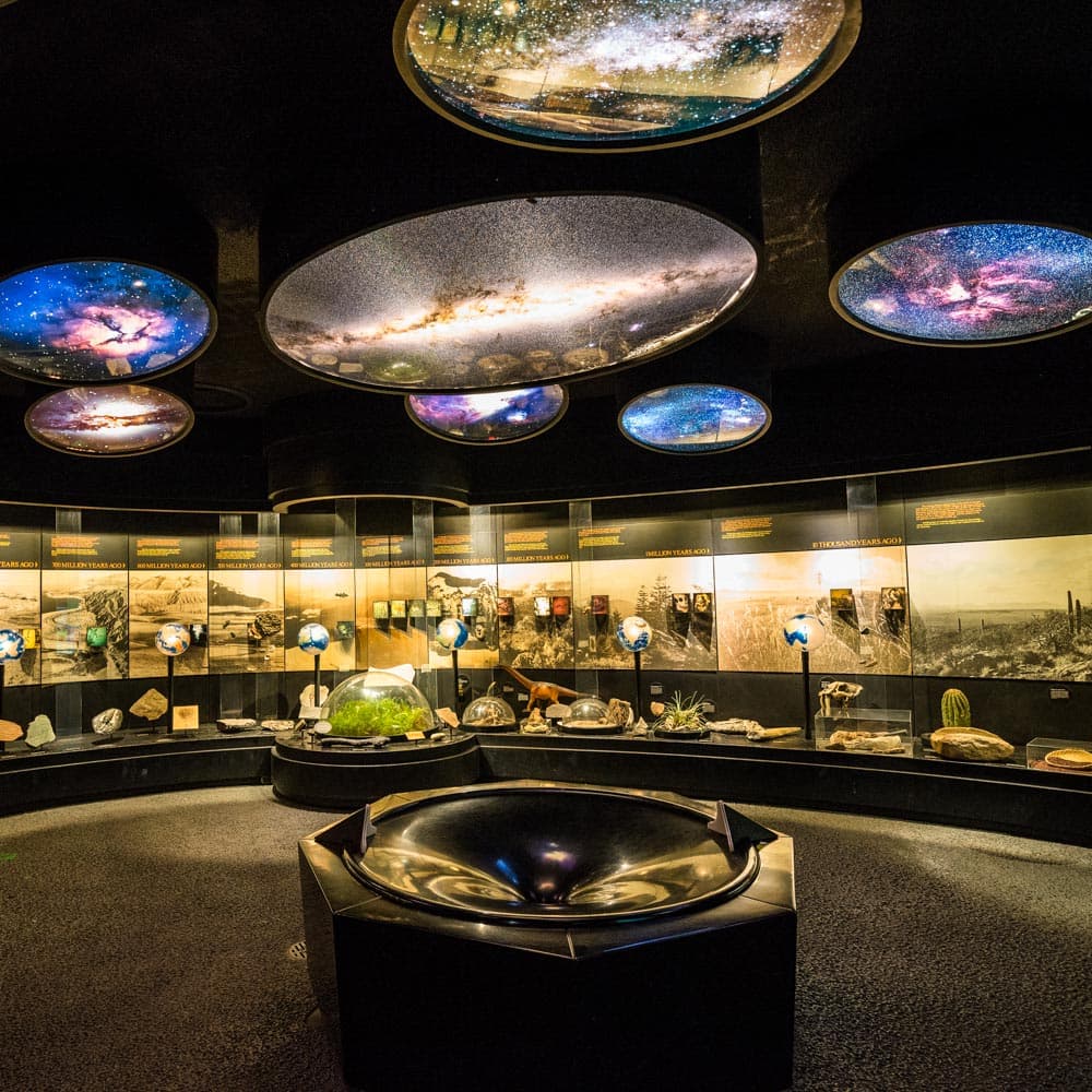The Sonora Desert Museum — 