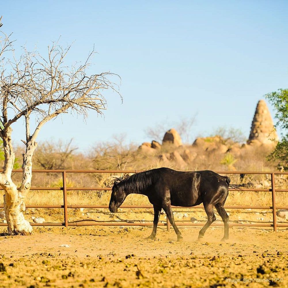 Tombstone Monument Ranch — 