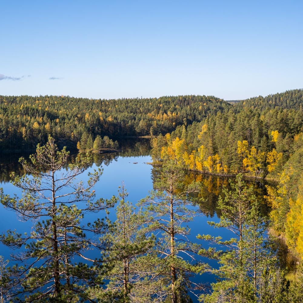 Repovesi National Park — Finland, Scandinavia