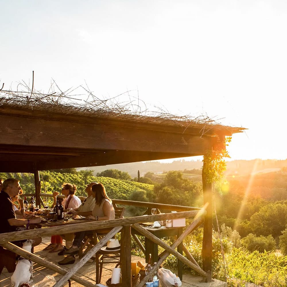 A Solatio Organic Farm — 