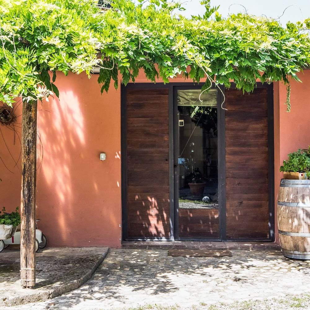 A Solatio Organic Farm — 