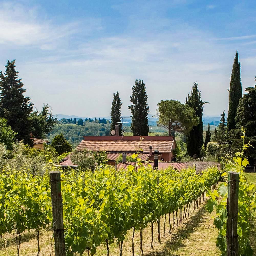 A Solatio Organic Farm — 