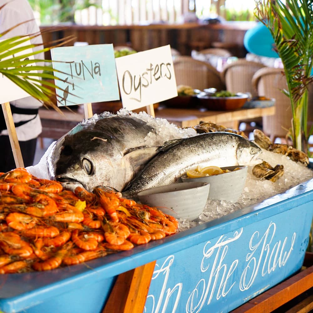 Roosterfish Beach Club — 