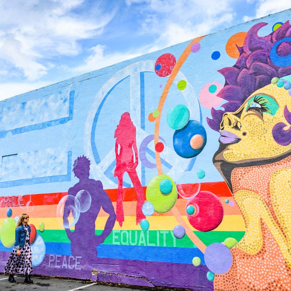 Plaza Midwood — 