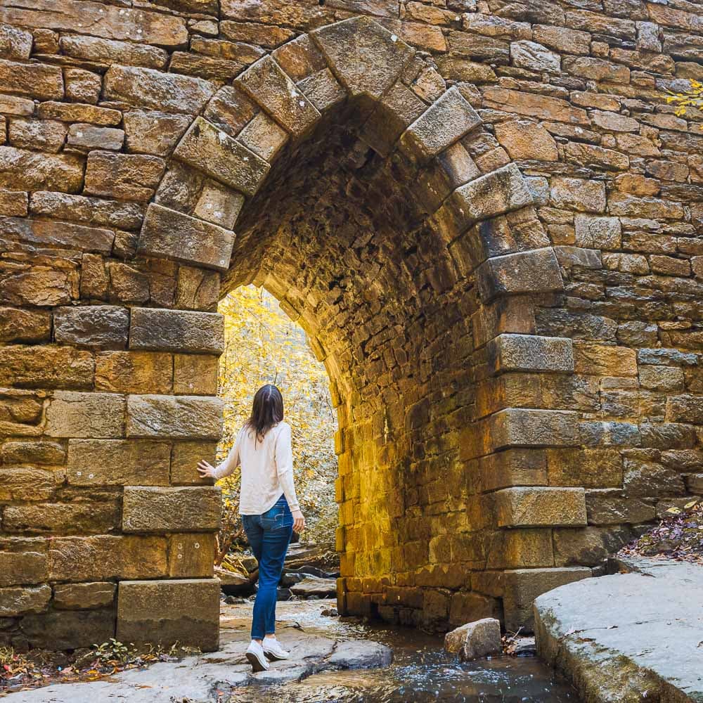 Poinsett Bridge — South Carolina, United States, North America