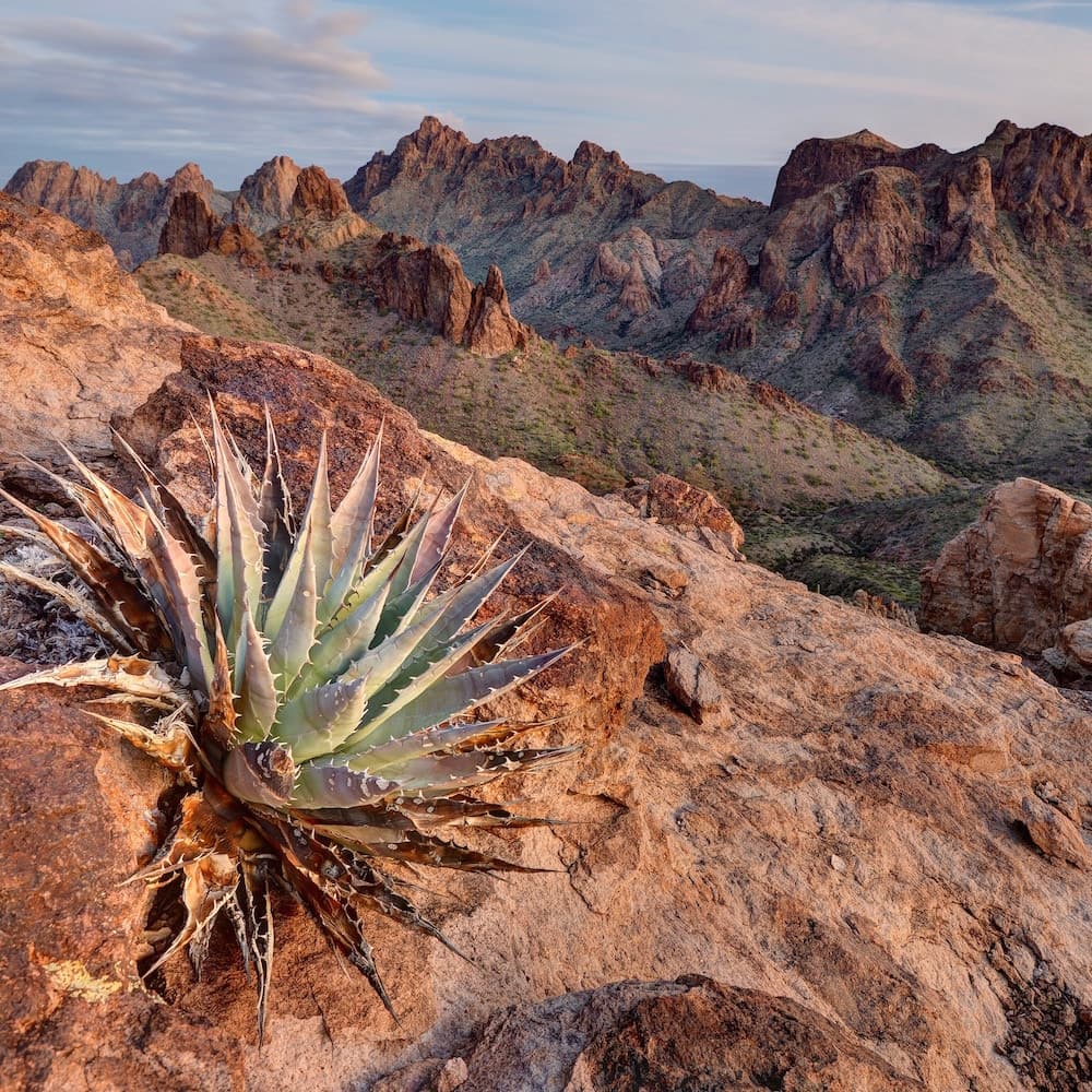Kofa National Wildlife Refuge — 