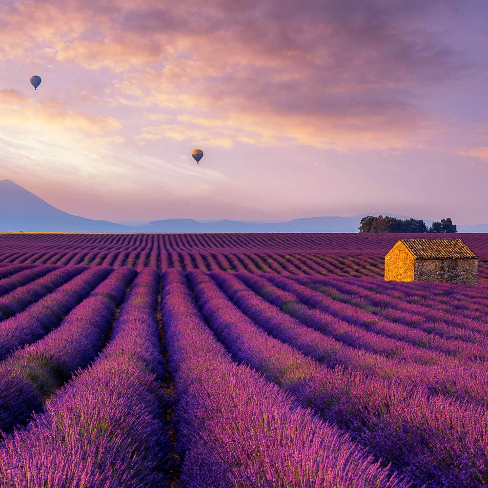 Provence — 