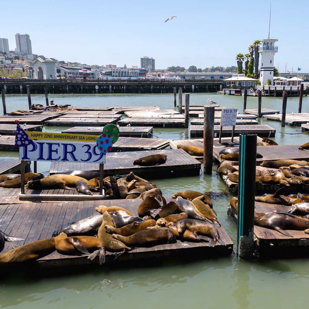 Pier 39 — San Francisco, California, United States, North America