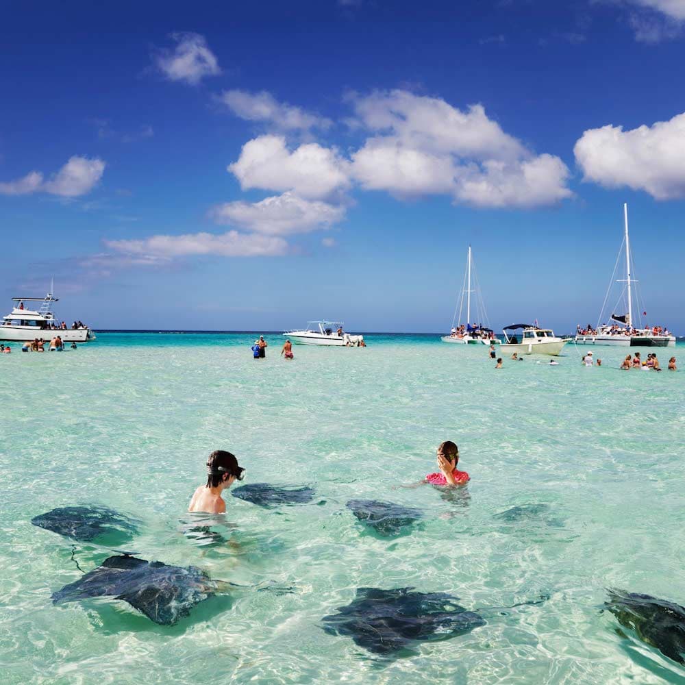 Stingray City, Grand Cayman — 