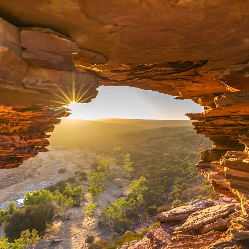 Nature's Window — 