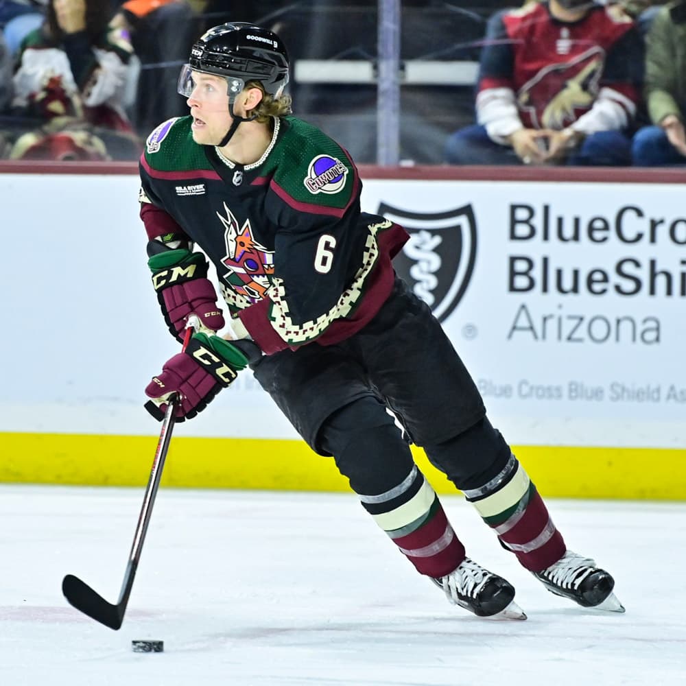 Arizona Coyotes — 