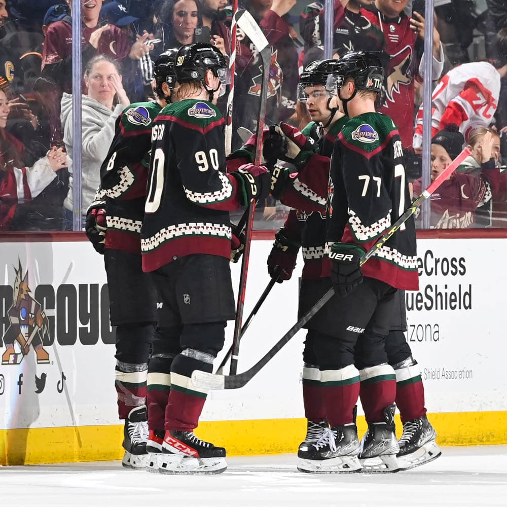Arizona Coyotes — 