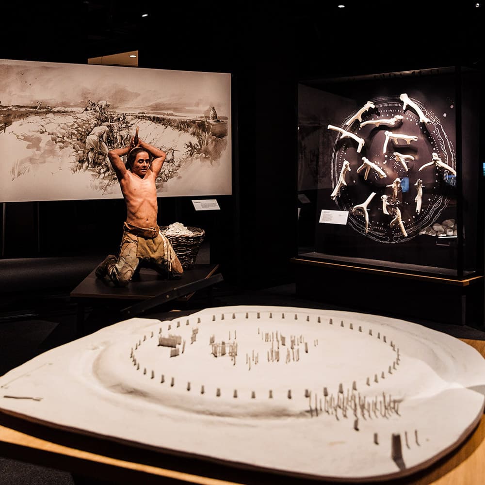 Auckland Museum — 