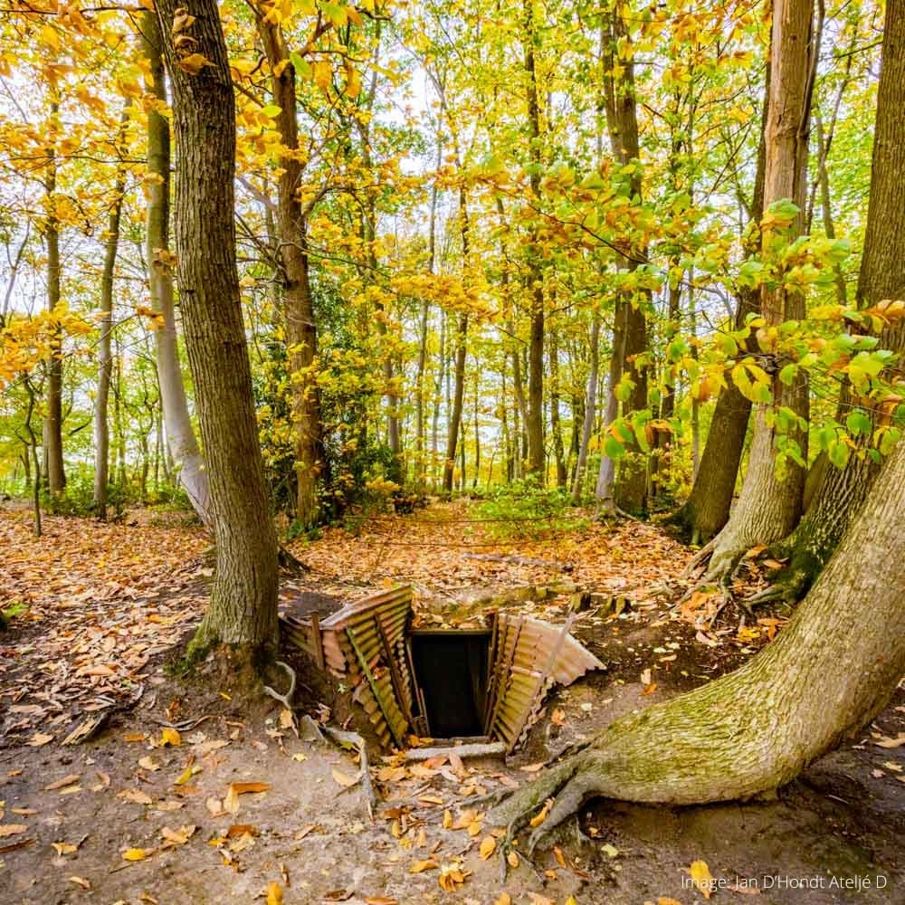 Sanctuary Wood Trenches Memorial — 