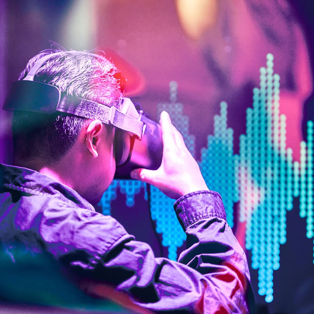 Avicii Experience — 