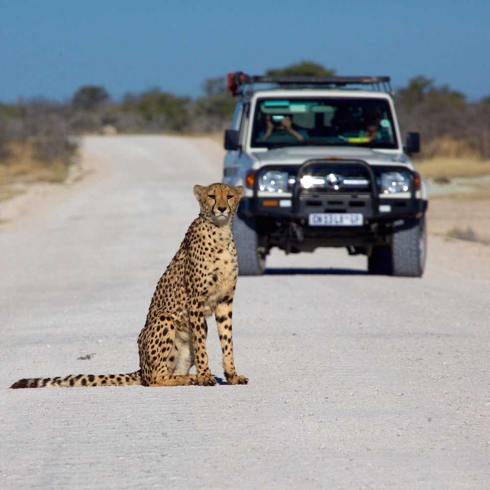 Etosha National Park — 
