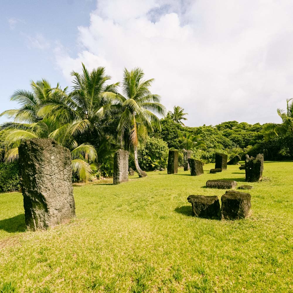 Badrulchau Stone Monoliths — 
