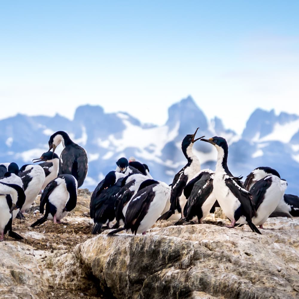 Beagle Channel, Ushuaia — Argentina, South America