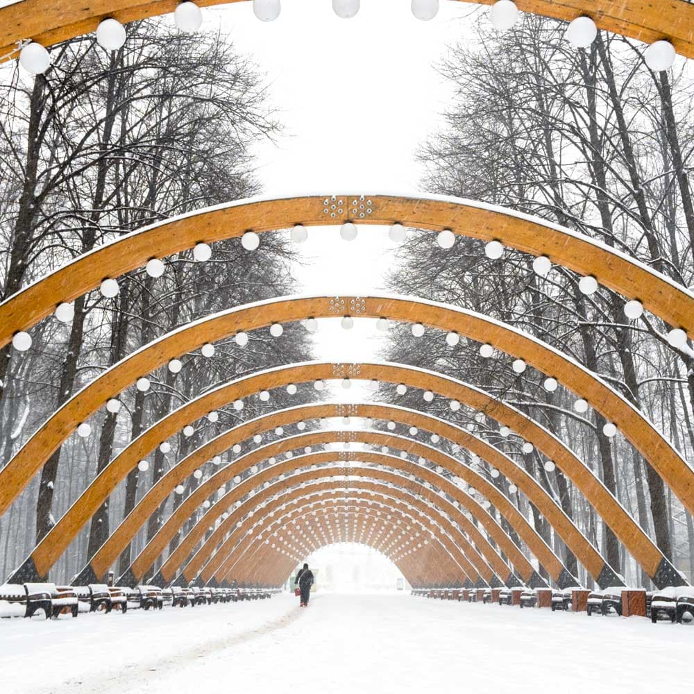 Sokolniki Park — 
